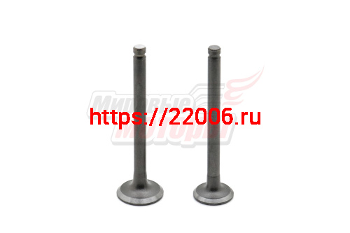 Клапаны (впуск/выпуск) 1Р39 Alpha 50см3 (d=18,3/16 мl=64,1/64,2)