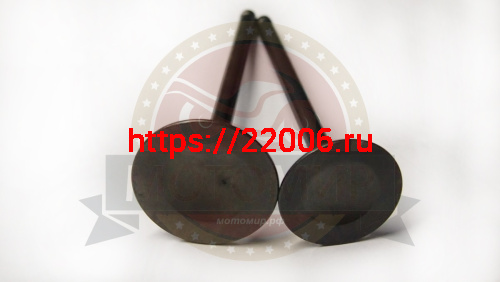 Клапан впускной/выпускной СВ200-250  (D31,5/H91мм D27/H90мм) (компл) фото 2