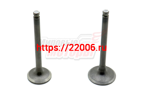 Клапаны (впуск/выпуск) 70-110см3 Delta, Zodiak (d-23/19,9 l-66,2/64,9)