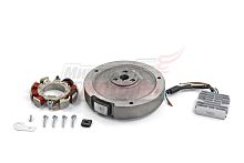 Комплект электрооб. 192F  7A 84 Вт (для РУЧ.стартера, без венца),(ОРИГИНАЛ, "LIFAN")